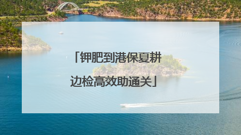 钾肥到港保夏耕 边检高效助通关