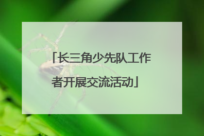 长三角少先队工作者开展交流活动