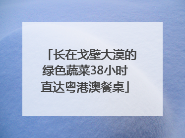 长在戈壁大漠的绿色蔬菜38小时直达粤港澳餐桌