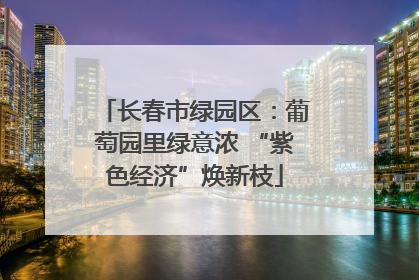 长春市绿园区：葡萄园里绿意浓 “紫色经济”焕新枝