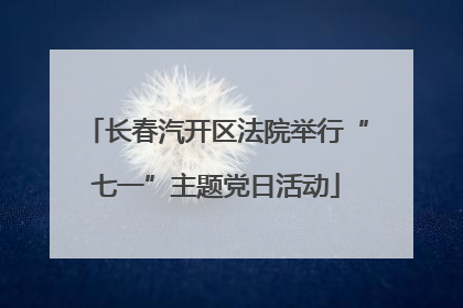 长春汽开区法院举行“七一”主题党日活动