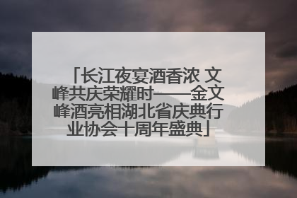 长江夜宴酒香浓 文峰共庆荣耀时——金文峰酒亮相湖北省庆典行业协会十周年盛典