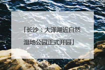 长沙：大泽湖近自然湿地公园正式开园