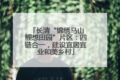 长清“锦绣马山 鲤想田园”片区：四链合一，建设宜居宜业和美乡村