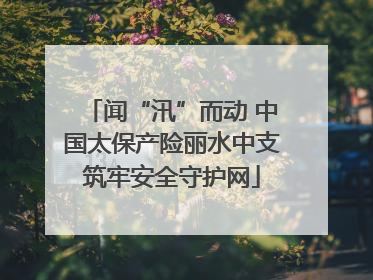 闻“汛”而动 中国太保产险丽水中支筑牢安全守护网