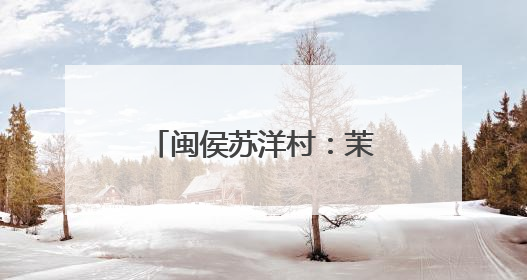 闽侯苏洋村：茉莉花开富农家