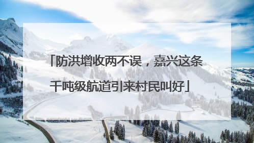 防洪增收两不误，嘉兴这条千吨级航道引来村民叫好