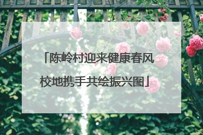 陈岭村迎来健康春风 校地携手共绘振兴图