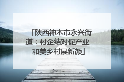 陕西神木市永兴街道：村企结对促产业 和美乡村展新颜
