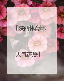 陕西体育比天气还热