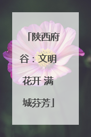 陕西府谷：文明花开 满城芬芳