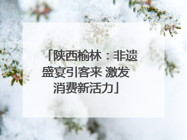 陕西榆林：非遗盛宴引客来 激发消费新活力
