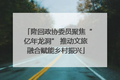 隆回政协委员聚焦“亿年龙洞” 推动文旅融合赋能乡村振兴