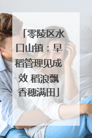 零陵区水口山镇：早稻管理见成效 稻浪飘香穗满田