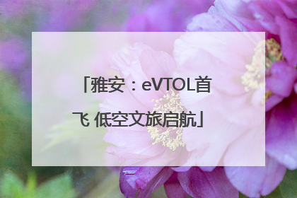 雅安：eVTOL首飞 低空文旅启航