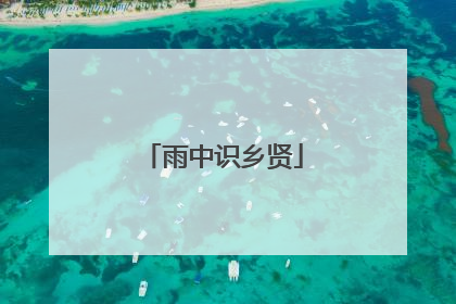 雨中识乡贤