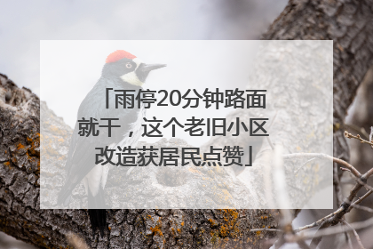 雨停20分钟路面就干，这个老旧小区改造获居民点赞