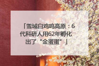 雪域白鸡鸣高原：6代科研人用62年孵化出了“金蛋蛋”