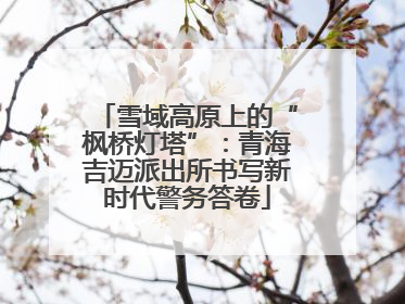 雪域高原上的“枫桥灯塔”：青海吉迈派出所书写新时代警务答卷