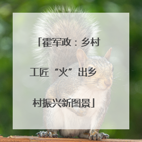 霍军政：乡村工匠“火”出乡村振兴新图景