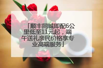 顺丰同城即配6公里低至11元起，端午送礼亲民价格享专业高端服务