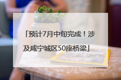 预计7月中旬完成！涉及咸宁城区50座桥梁