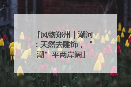 风物郑州｜潮河：天然去雕饰，“潮”平两岸阔