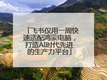 飞书仅用一周快速适配鸿蒙电脑，打造AI时代先进的生产力平台