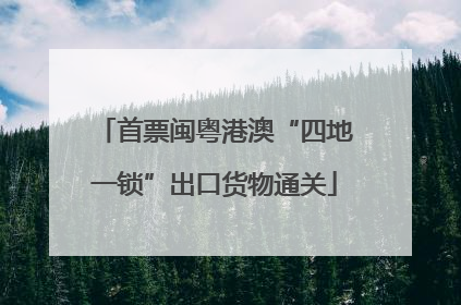 首票闽粤港澳“四地一锁”出口货物通关