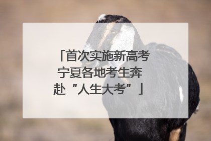 首次实施新高考 宁夏各地考生奔赴“人生大考”