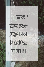 首次！古蜀象牙无灌封材料保护公开展出