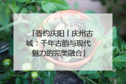 香约庆阳丨庆州古城：千年古韵与现代魅力的完美融合