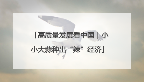 高质量发展看中国｜小小大蒜种出“辣”经济