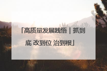 高质量发展践悟｜抓到底 改到位 治到根