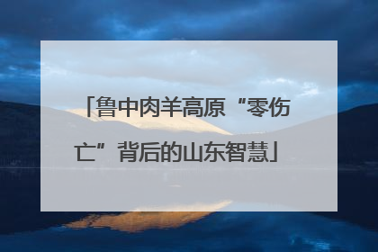 鲁中肉羊高原“零伤亡”背后的山东智慧