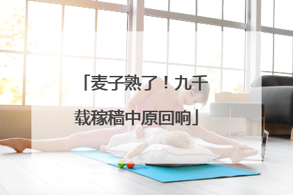 麦子熟了！九千载稼穑中原回响
