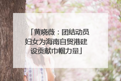 黄晓薇：团结动员妇女为海南自贸港建设贡献巾帼力量