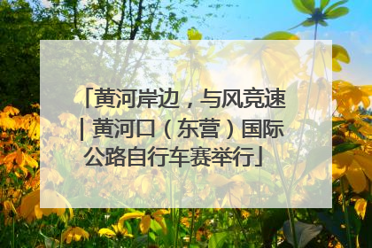 黄河岸边，与风竞速｜黄河口（东营）国际公路自行车赛举行