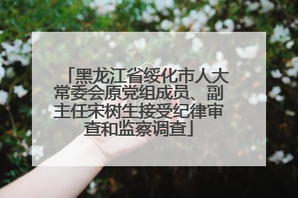 黑龙江省绥化市人大常委会原党组成员、副主任宋树生接受纪律审查和监察调查