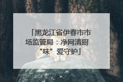 黑龙江省伊春市市场监管局：净网清厨 “味”爱守护