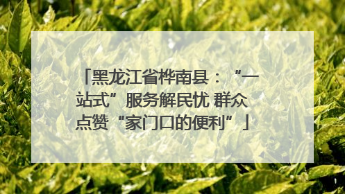 黑龙江省桦南县：“一站式”服务解民忧 群众点赞“家门口的便利”