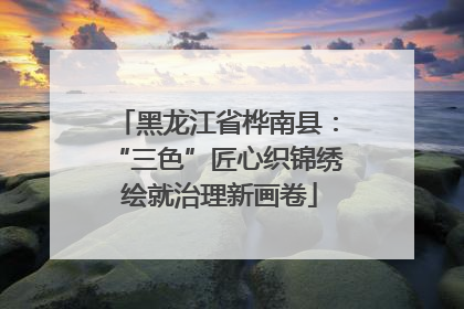 黑龙江省桦南县：“三色”匠心织锦绣 绘就治理新画卷