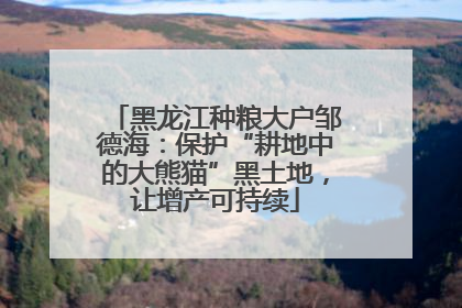 黑龙江种粮大户邹德海：保护“耕地中的大熊猫”黑土地，让增产可持续