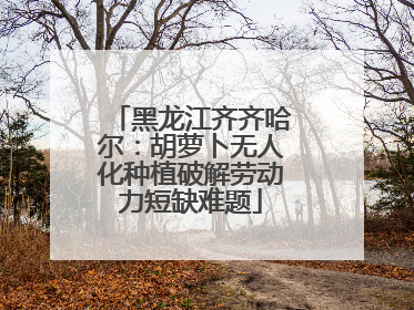 黑龙江齐齐哈尔：胡萝卜无人化种植破解劳动力短缺难题