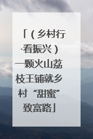 （乡村行·看振兴）一颗火山荔枝王铺就乡村“甜蜜”致富路