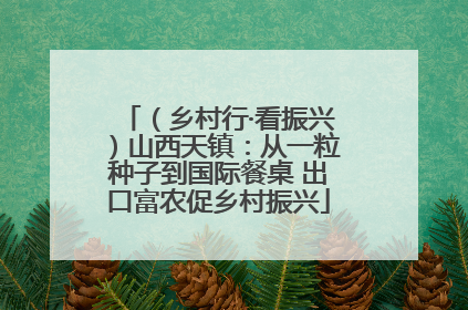 （乡村行·看振兴）山西天镇：从一粒种子到国际餐桌 出口富农促乡村振兴