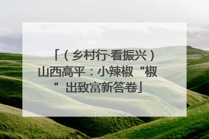 （乡村行·看振兴）山西高平：小辣椒“椒”出致富新答卷