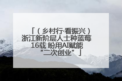 （乡村行·看振兴）浙江新阶层人士种蓝莓16载 盼用AI赋能“二次创业”
