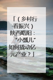 （乡村行·看振兴）陕西略阳：“小瓢儿”如何撬动亿元产业？