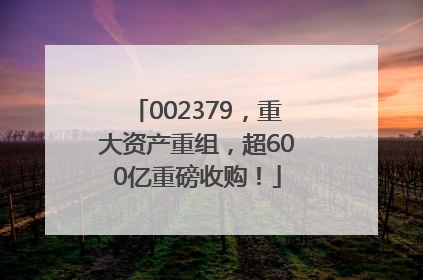 002379，重大资产重组，超600亿重磅收购！